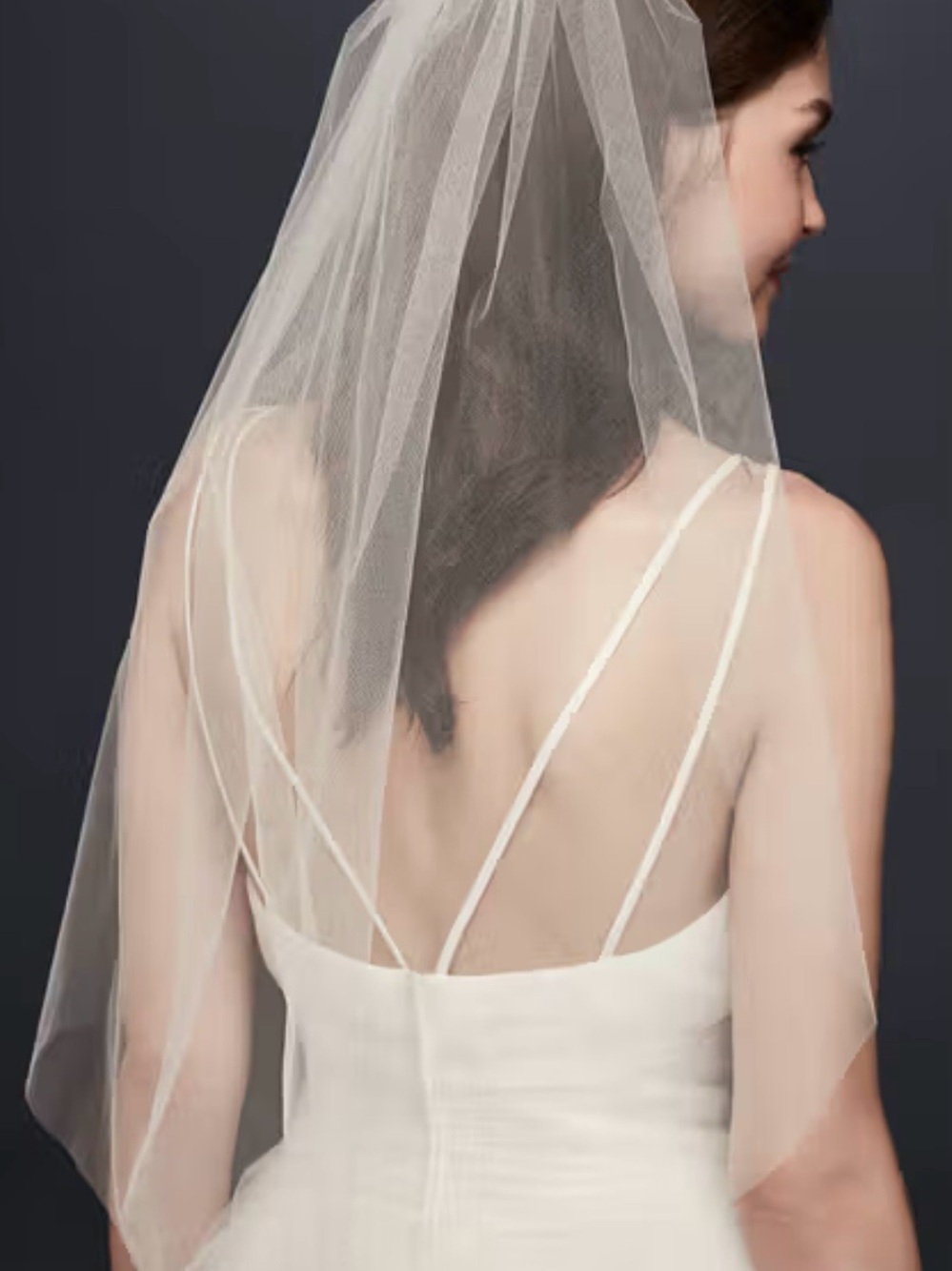 Celeste Ivory Bridal Veil with Delicate Edge